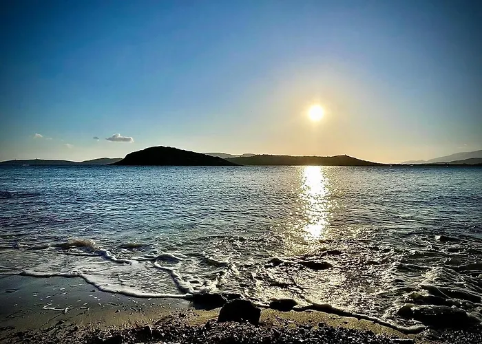 度假居 Proche Saint Cyprien Et Cala Rossa 里奇