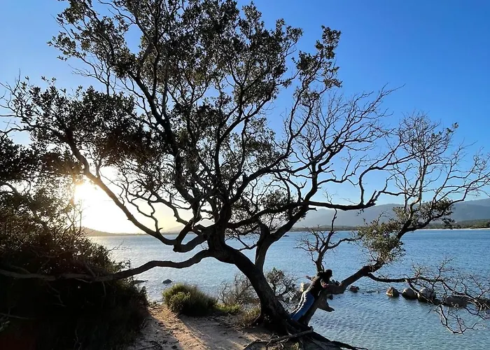 Proche Saint Cyprien Et Cala Rossa 度假居 *